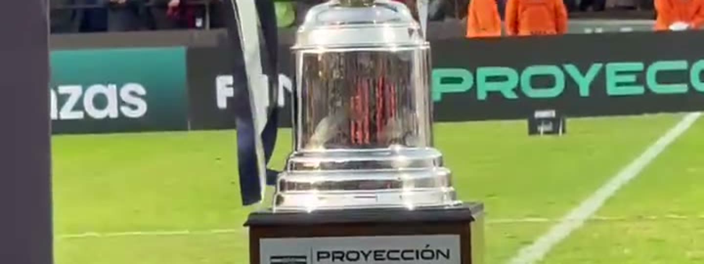 Trofeo del Torneo Proyección Sur Finanzas al costado del campo de juego